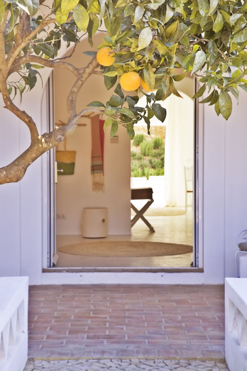 An open doorway into a spacious suite surrounded by orange trees