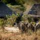 Tarangire Lodge with elephants