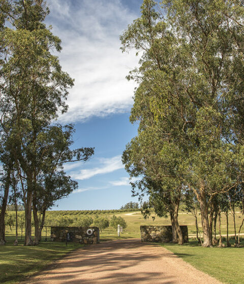 Bodega Oceanica Jose Ignacio in Uruguay
