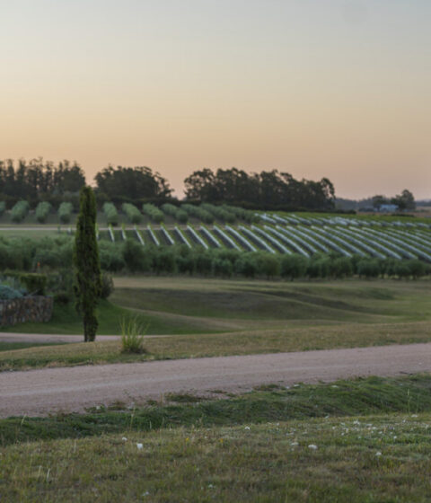 Bodega Oceanica Jose Ignacio in Uruguay