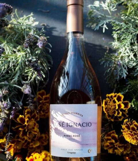 Bodega Oceanica Jose Ignacio in Uruguay - Home