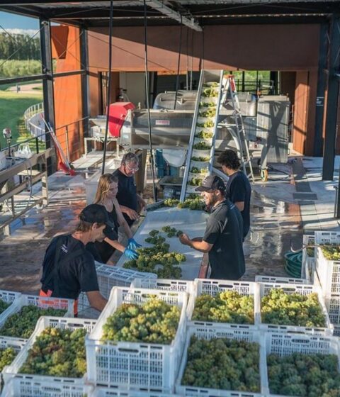 Bodega Oceanica Jose Ignacio in Uruguay