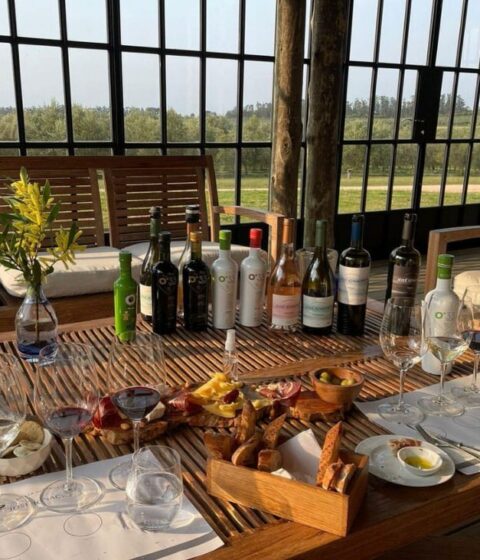 Bodega Oceanica Jose Ignacio in Uruguay