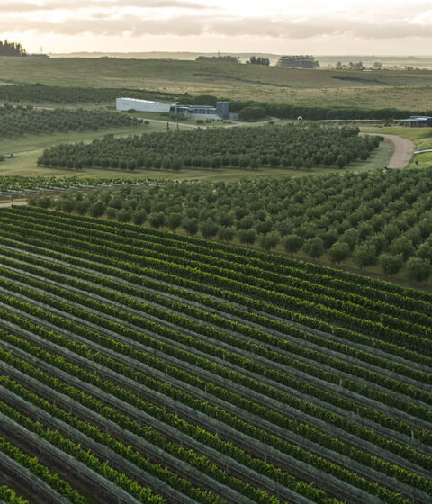 Bodega Oceanica Jose Ignacio in Uruguay