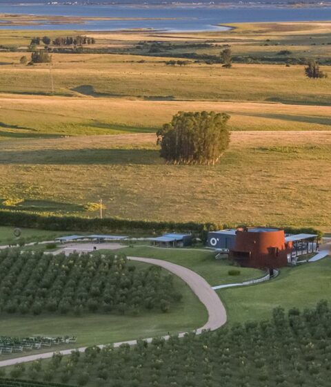 Bodega Oceanica Jose Ignacio in Uruguay
