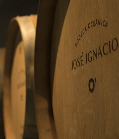 Bodega Oceanica Jose Ignacio in Uruguay