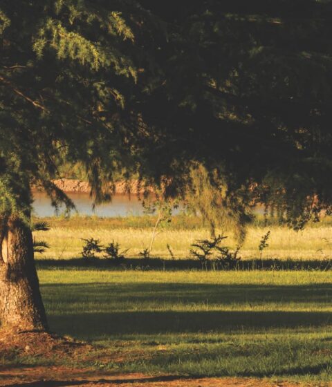 Las Liebres in Uruguay