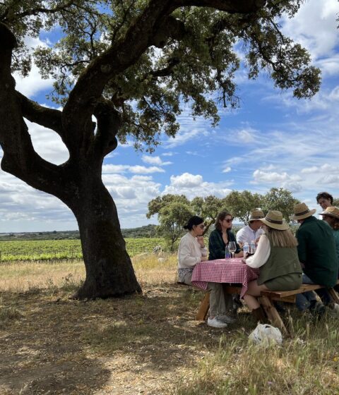 Corktrekking au Portugal