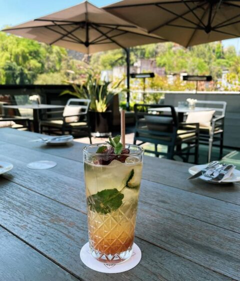 Hotel Magnolia in Chile