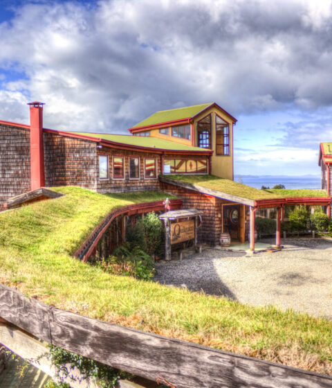 Hotel Parque Quilquico in Chile