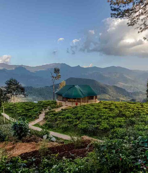 Madulkelle Tea And Ecolodge Sri Lanka Einzigartige Orte 3 1
