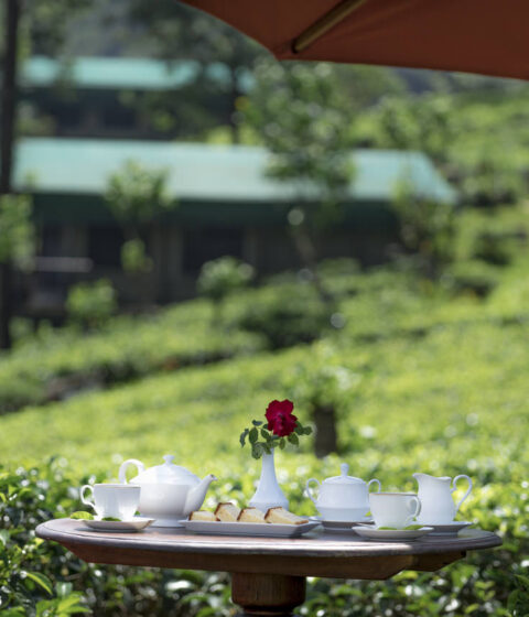 Madulkelle Tea And Ecolodge Sri in Lanka
