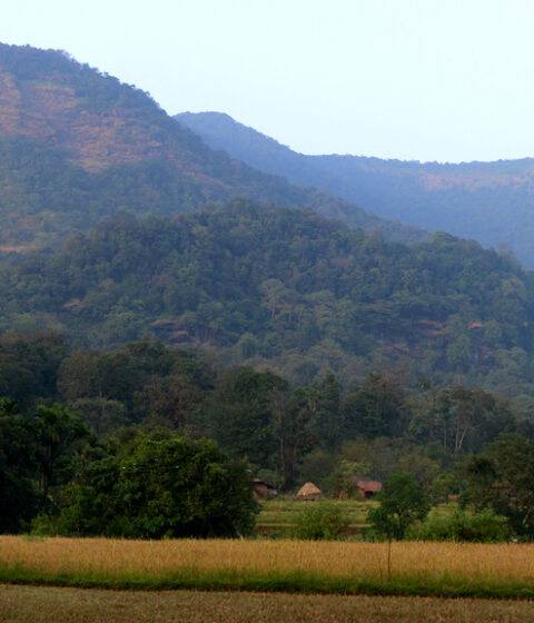 Retiro Panchabhuta en la India