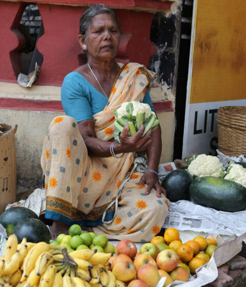 Retiro Panchabhuta en la India