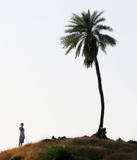 Retiro Panchabhuta en la India