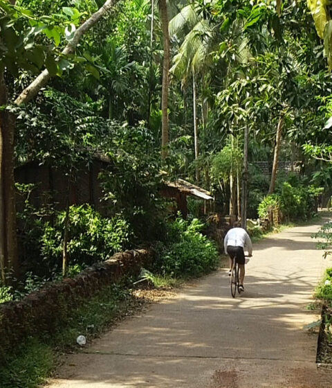 Retiro Panchabhuta en la India