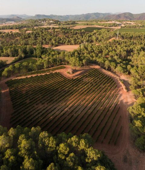 Pla De Morei in Spanien