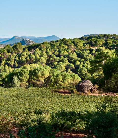 Pla De Morei in Spanien