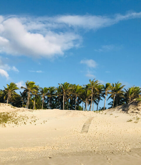 Travessia Beach Lodge en Mozambique