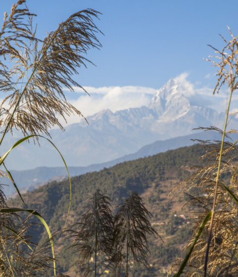 Tiger Mountain Pokhara Lodge in Nepal