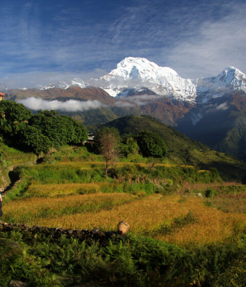 Tiger Mountain Pokhara Lodge in Nepal