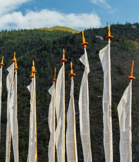 Bhutan Spirit Sanctuary in Bhutan, Asien – Bhutan Spirit Sanctuary, Bhutan