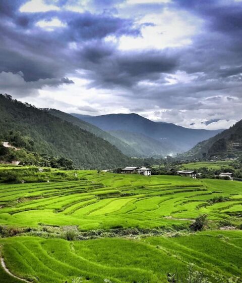 Bhutan Spirit Sanctuary in Bhutan, Asien – Bhutan Spirit Sanctuary, Bhutan