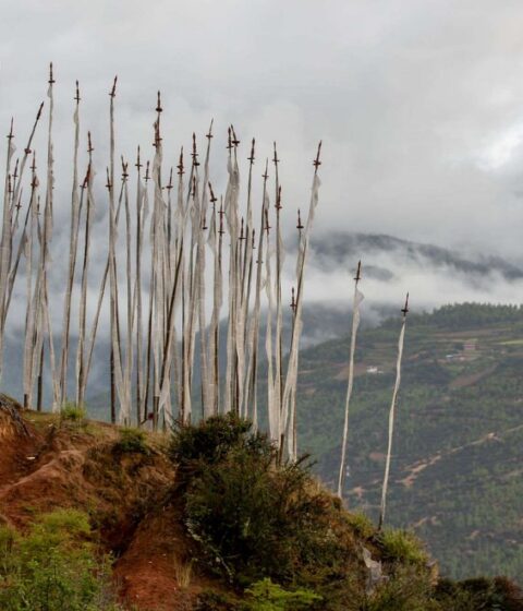 Bhutan Spirit Sanctuary in Bhutan, Asien – Bhutan Spirit Sanctuary, Bhutan