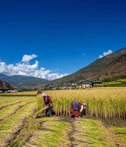 Bhutan Spirit Sanctuary in Bhutan, Asien – Bhutan Spirit Sanctuary, Bhutan