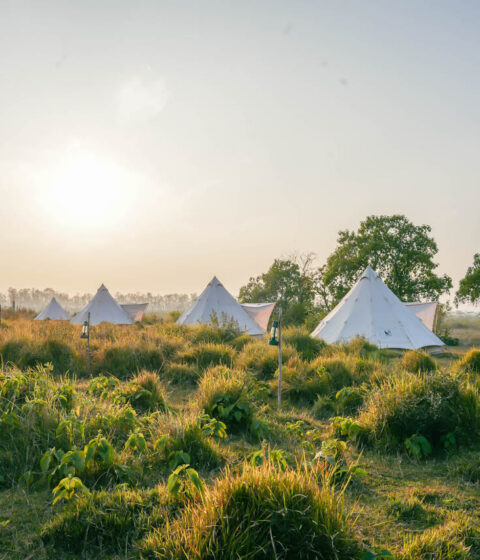 Burhan Wilderness Camps au Népal