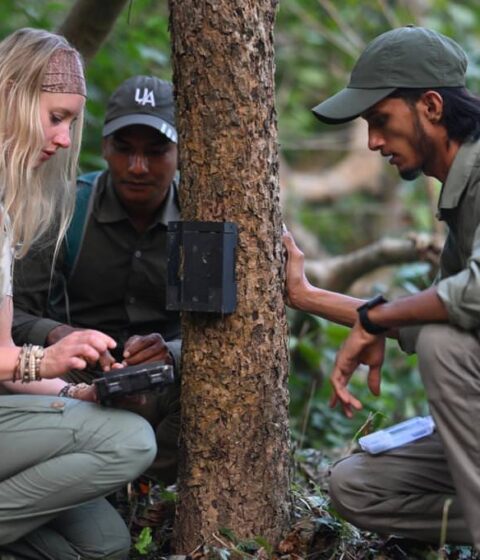Burhan Wilderness Camps au Népal