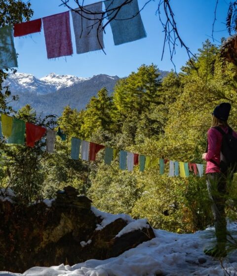 Bhutan Spirit Sanctuary in Bhutan, Asien
