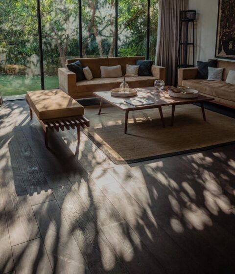 Bosques en Sasan, India