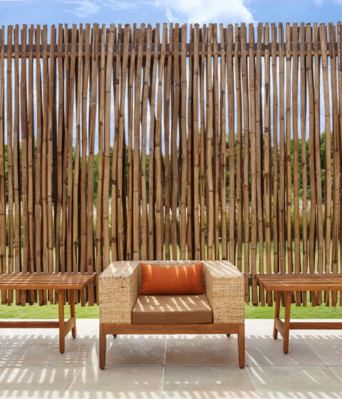 Bosques en Sasan, India
