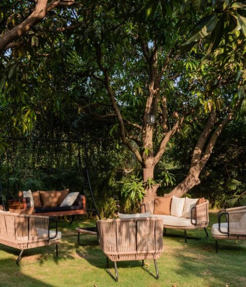 Bosques en Sasan, India