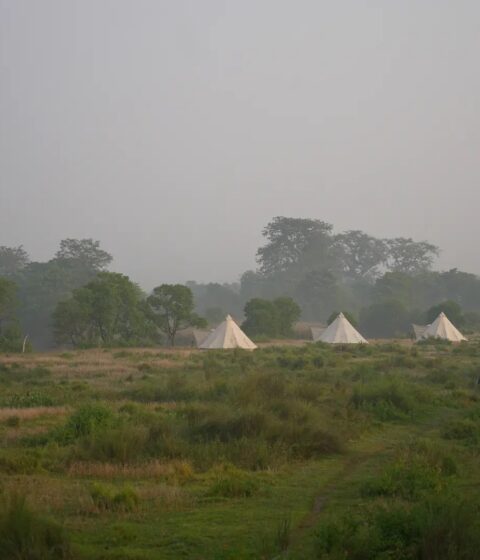 Burhan Wilderness Camps au Népal