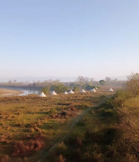 Burhan Wilderness Camps au Népal