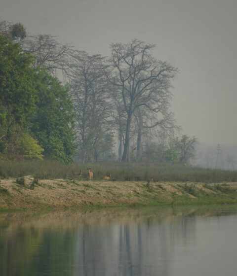Burhan Wilderness Camps au Népal