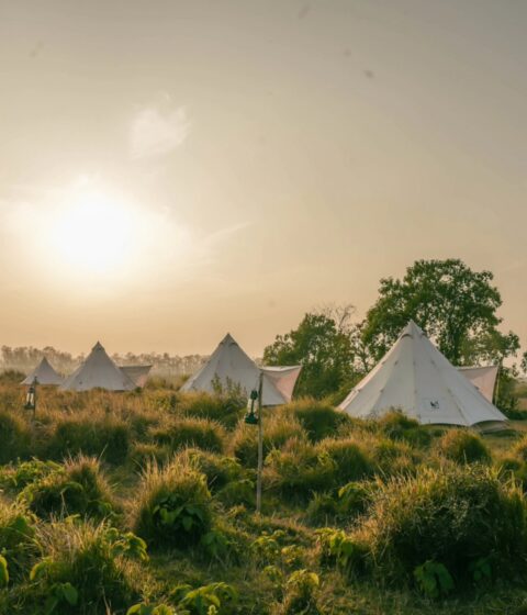 Burhan Wilderness Camps au Népal
