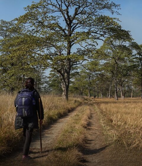 Burhan Wilderness Camps au Népal