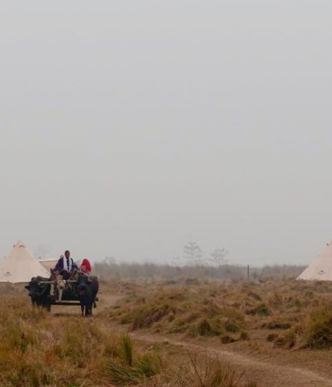 Burhan Wilderness Camps au Népal