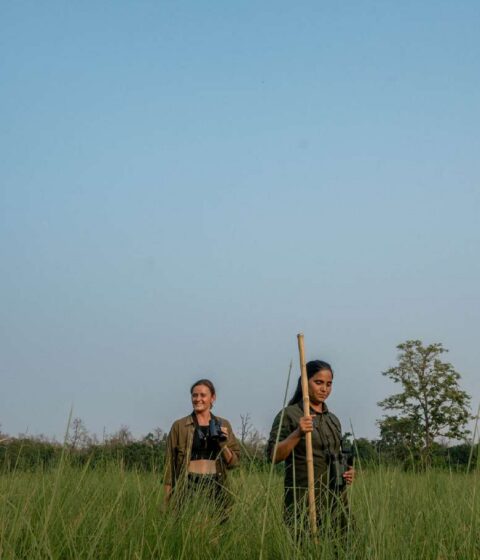 Burhan Wilderness Camps au Népal, en Asie
