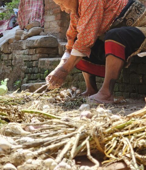 Die Nanee in Nepal, Asien