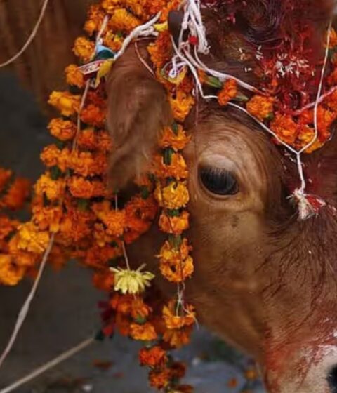 Die Nanee in Nepal, Asien